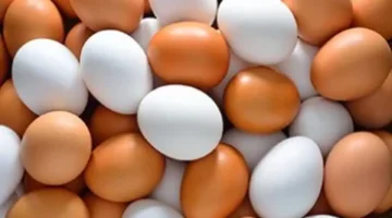 بـ 125 جنيهًا.. أسعار كرتونة البيض في أسواق كفر الشيخ خلال تعاملات الأربعاء